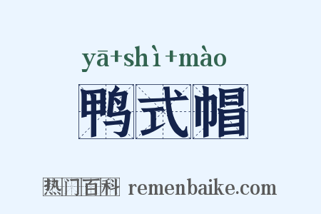 鸭式帽是什么意思的图片